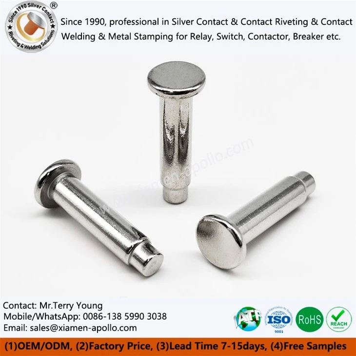 Pure Iron Core for Charging Relay Pure Iron Core for Charging Relay